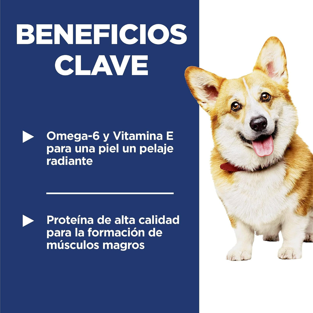 Hill's Science Diet Small Bites Croquetas para Perro Adulto Pollo 6.8Kg | Croquetas Hill's para perro, pollo real, razas pequeñas, digestión saludable, sistema inmunológico fuerte