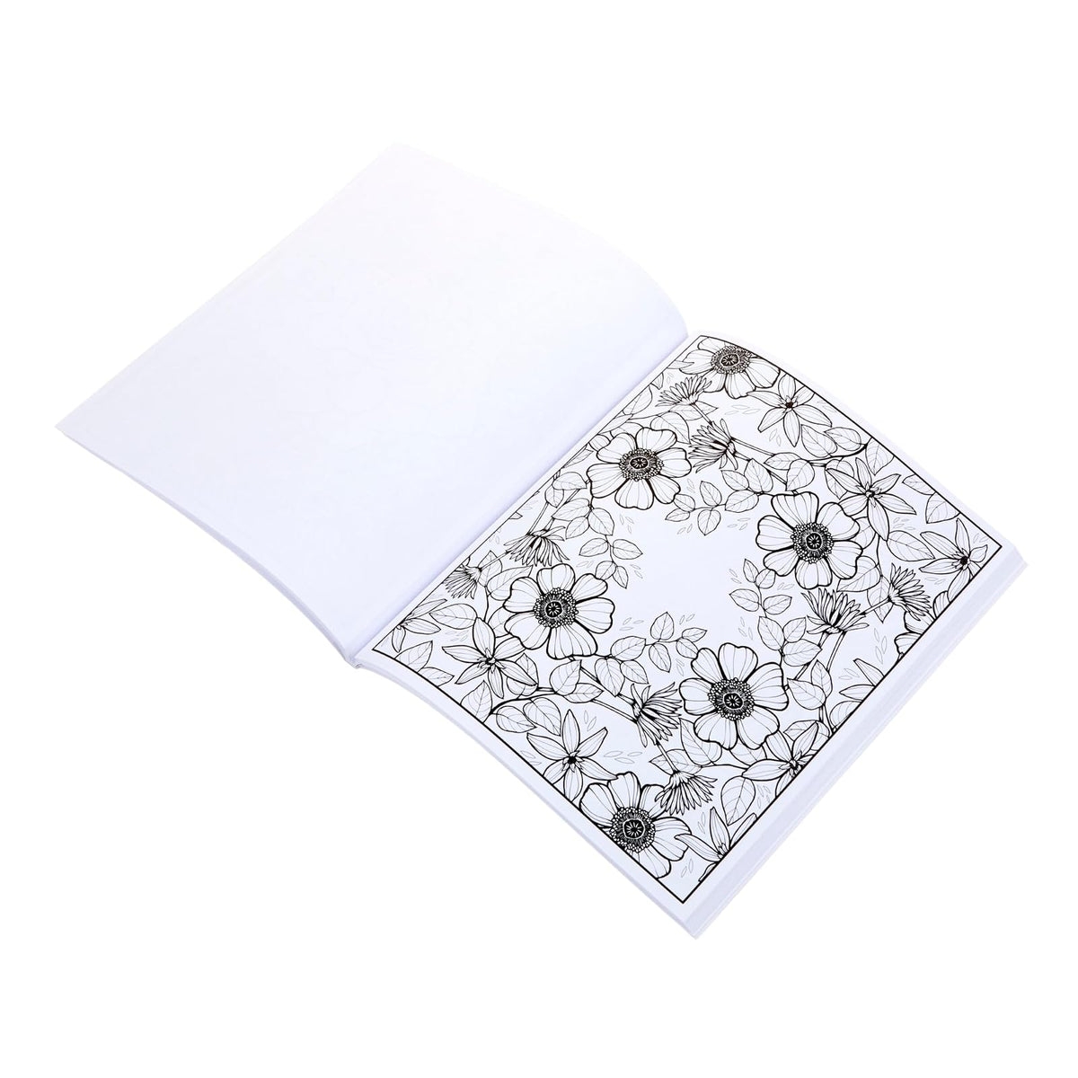 Crayola - Libro para Colorear Floral para Adultos (40 Unidades), Páginas para Colorear, Actividad de Alivio del Estrés, Regalo de Atención Plena para Adolescentes y Adultos, 9 Años en Adelante