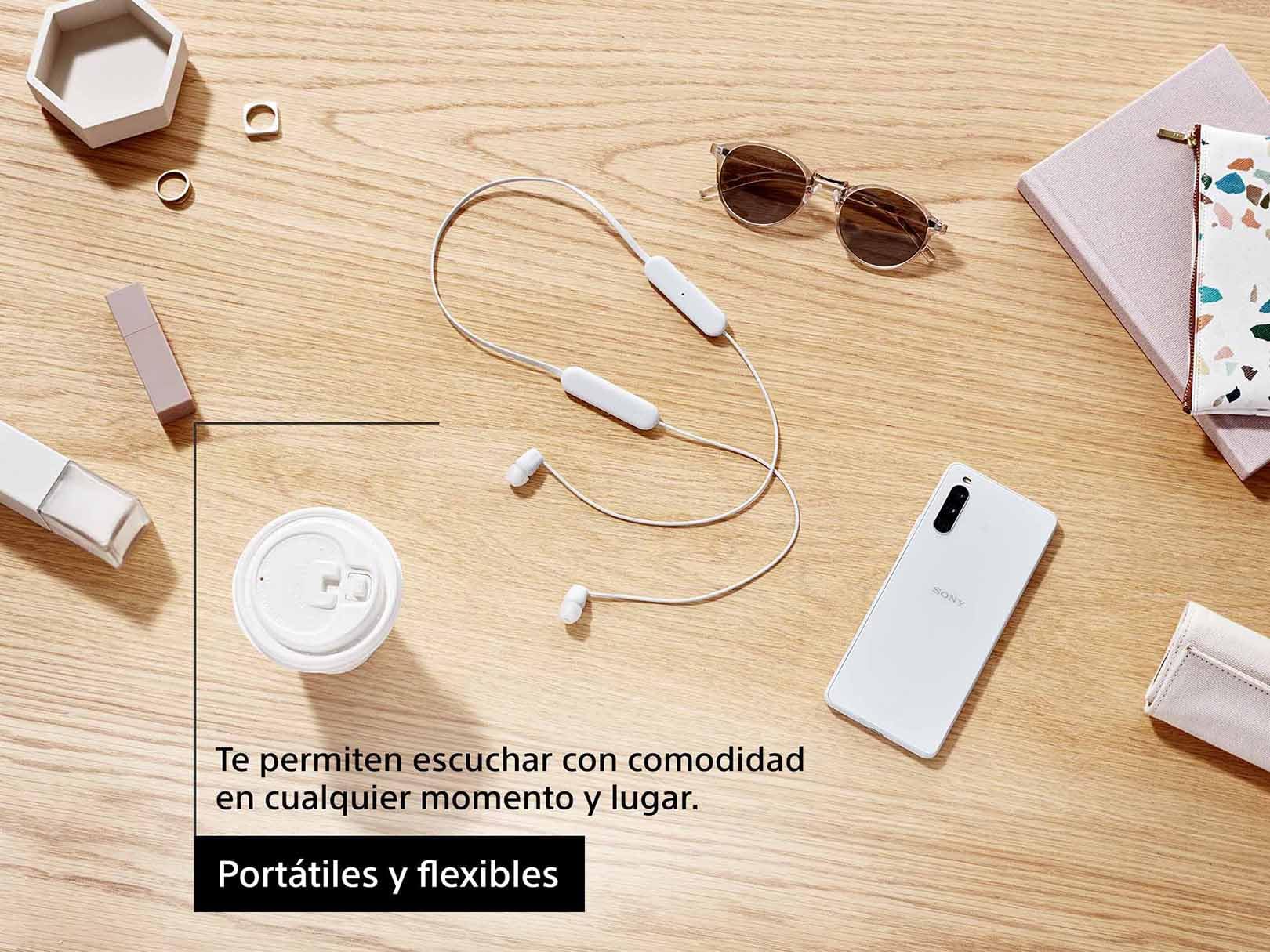 Sony WI-C100 - Audífonos inalámbricos intraauriculares con Banda para el Cuello y micrófono para Llamadas con Manos Libres, Azul, WIC100/L (Versión Nacional)