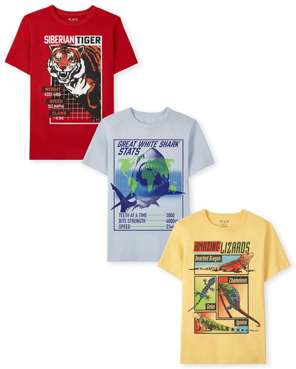 The Children's Place The Children's Place Camiseta gráfica de Manga Corta para niños, Paquete de 3 Camiseta para Niños