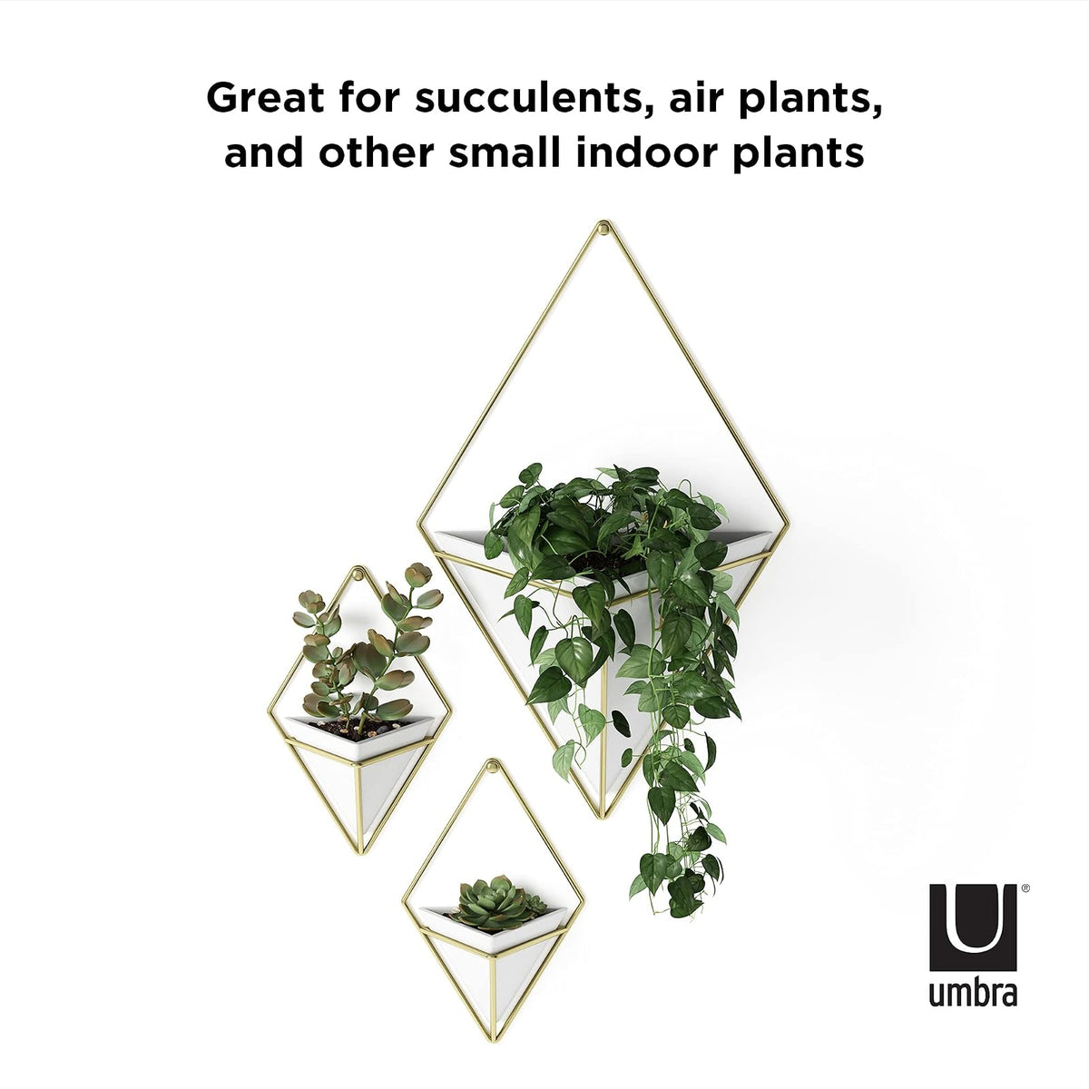 Umbra 470753-524 Trigg Hanging Planter Vase, Brass, Small, Latón
