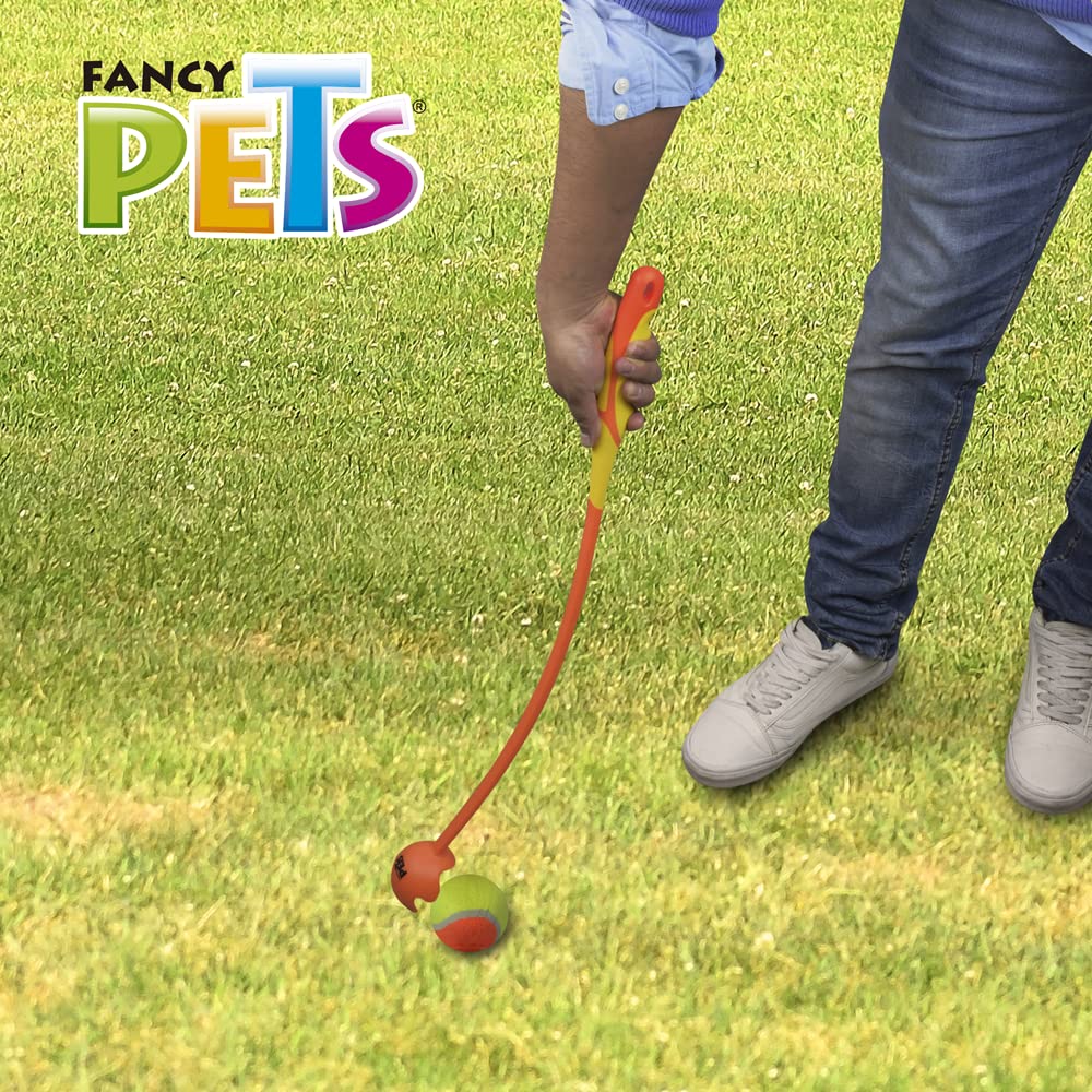 Fancy Pets Juguete Lanzador de Pelota para Perro Tamaño Grande