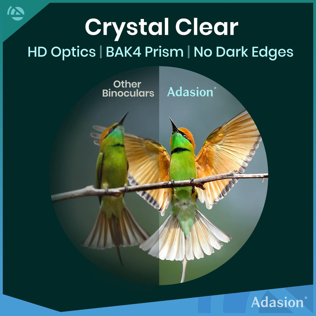 Adasion Binoculares 12x42 | Para adultos, adaptador fotografía smartphone, ocular 18 mm, lente BAK4, impermeable, 1 libra