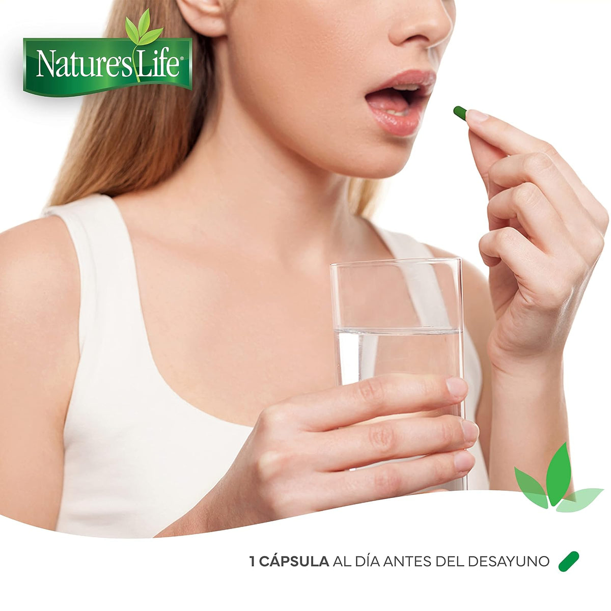 Nature's Life - Probióticos y Prebióticos Vitamina C y Arándano 30 Cápsulas | 415 millones UFC, Lactobacillus acidophilus, inulina, avena sativa, sin conservadores ni azúcar añadida, 1 cápsula al día