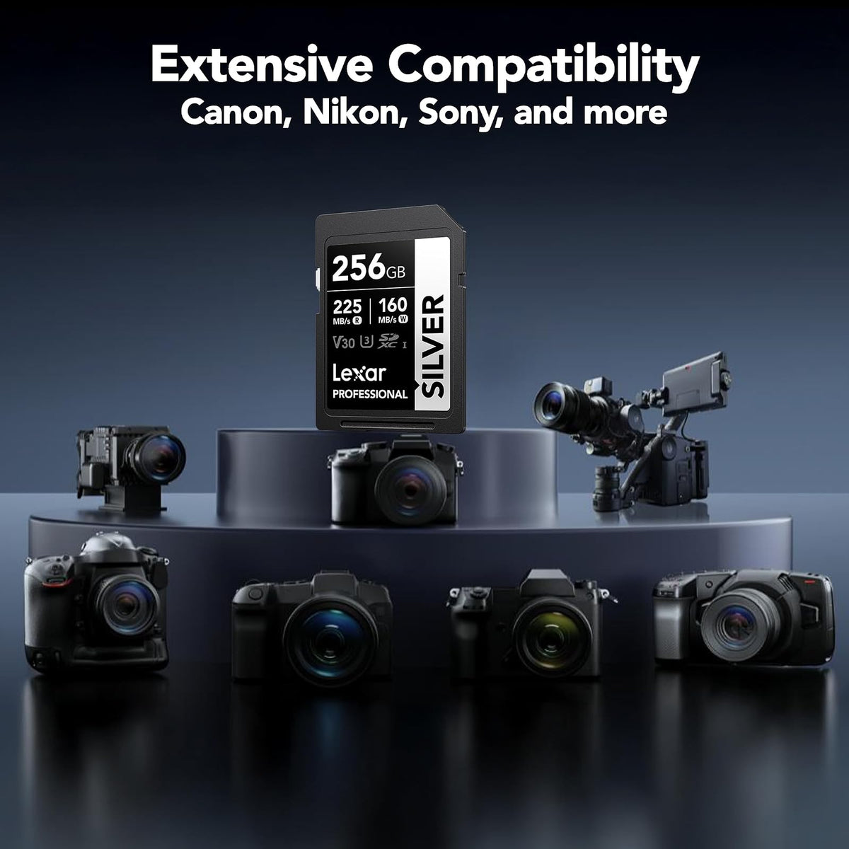 Lexar Tarjeta SD Profesional de 256 GB, UHS-I, C10, U3, V30, 4K, Tarjeta de Memoria SDXC de hasta 205/140 MB/s, para fotógrafo, videógrafo, Entusiasta (LSDSILV256G-BNNNU)