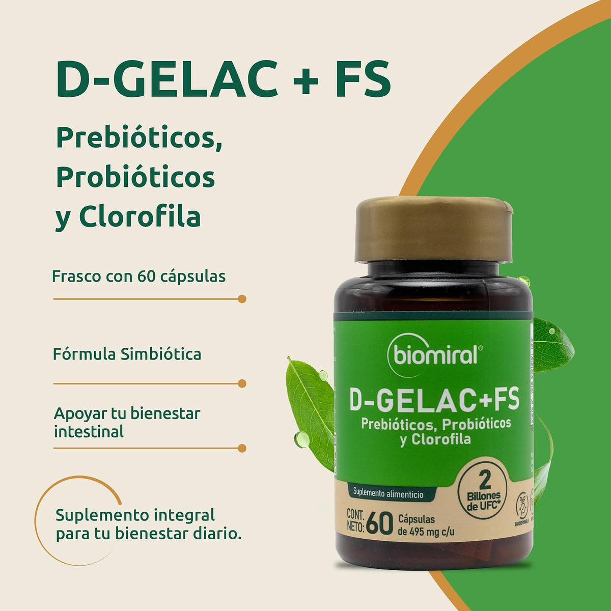 Biomiral D-Gelac+FS Probioticos y Prebioticos, 60 Capsulas | Clorofila, Fibra y Lactobacilos, 495 mg, 2 Billones de UFC, Libre de OGM