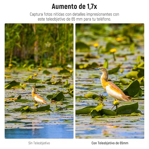NEEWER HD 65mm Telefoto Phone Camera Lens con Parasol Solo para 17mm Rosca Placa Trasera Phone Cage Case, 1.7X Zoom Accesorio Lente Compatible con iPhone 16, 15, S25, S24 Ultra, Android, LS-66