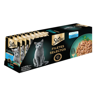 Sheba - Alimento Húmedo para Gatitos, Sabor de Filetes De Atún Marinado, Paquete de 24 Unidades de 85g c/u., Sin Colorantes ni Sabores Artificiales