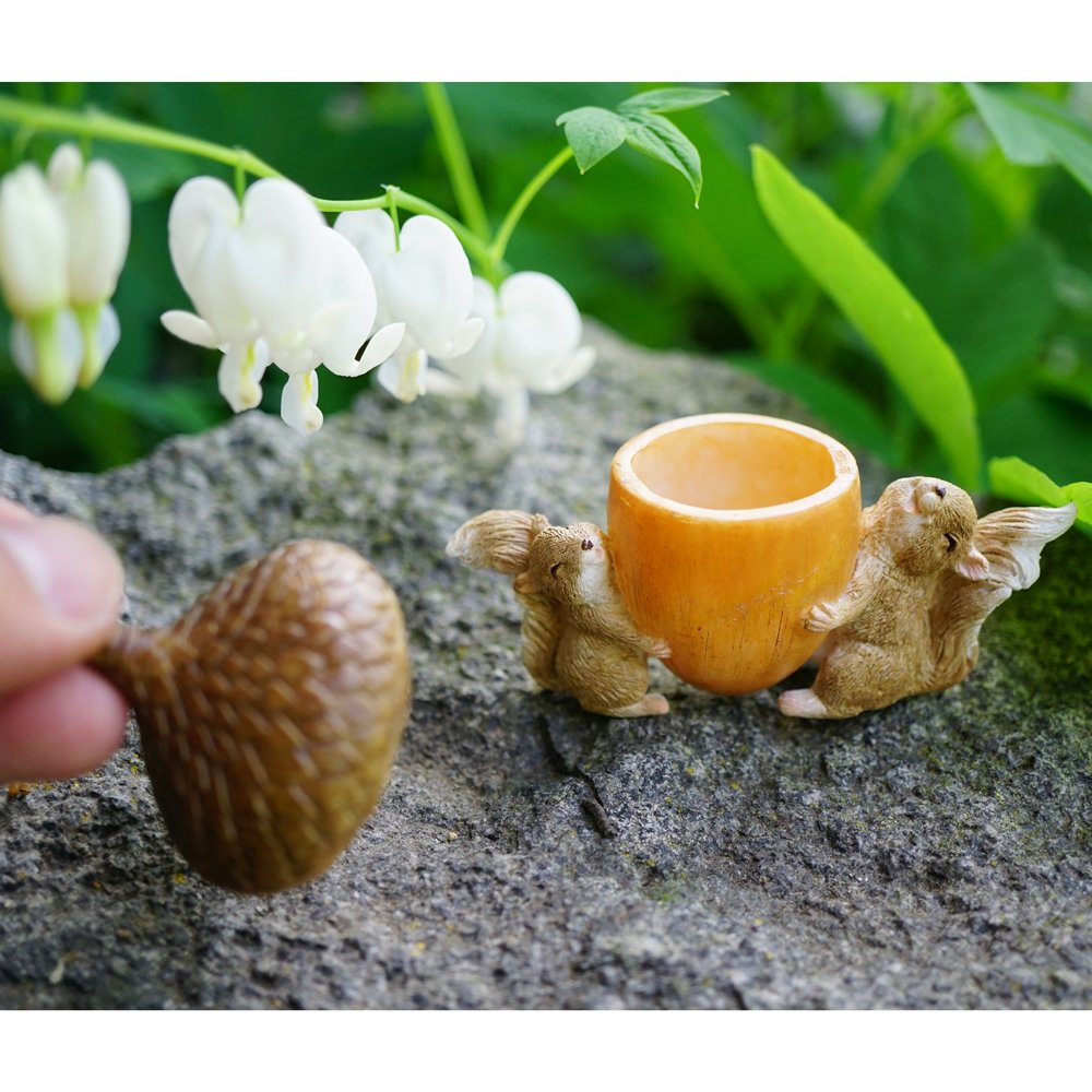 Top Collection Miniature Garden Squirrels Carrying Acorn Trinket Box with Secret Compartment Decor, Small