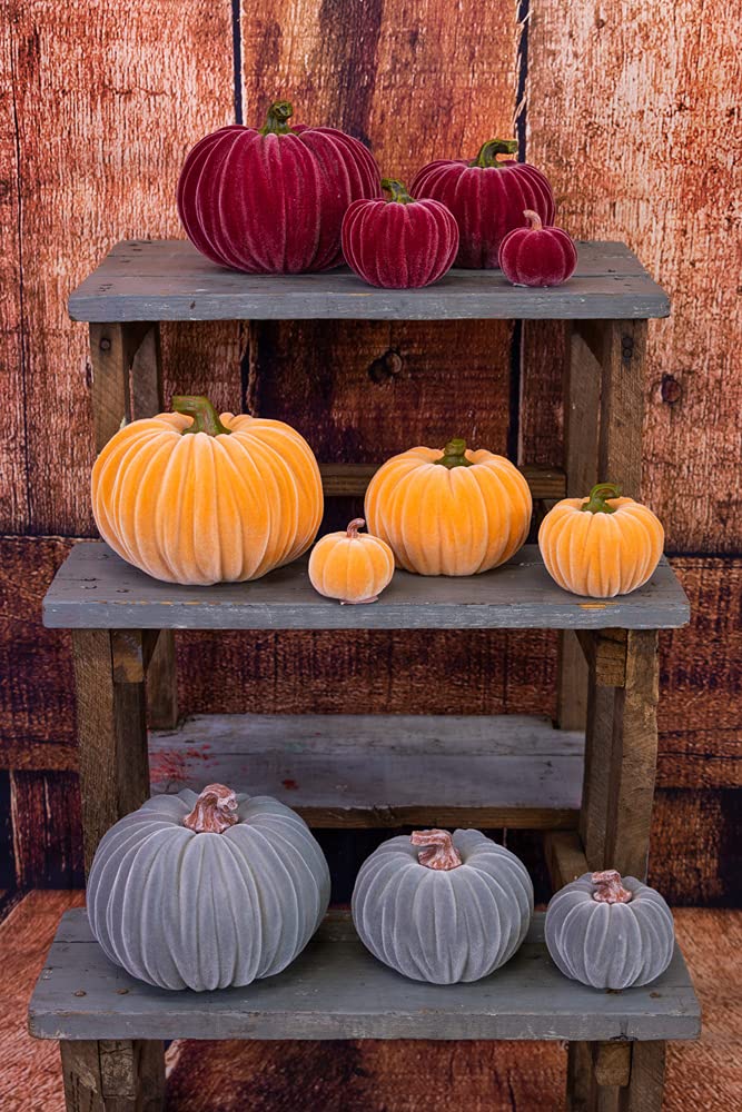 Boston International Calabaza de Terciopelo Decorativo para Mesa, Color Gris