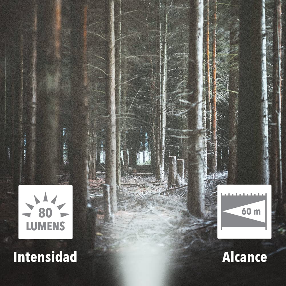 Tecnolite - Linterna Led Recargable para Cabeza, Con Baterías, Luz Led, En Color Negro 8 hrs de Uso, 80 Lumens, 60 m. de Distancia, 1 W, 5 VCD, Luz de Día 6 5000 k, Aplicación Portátil