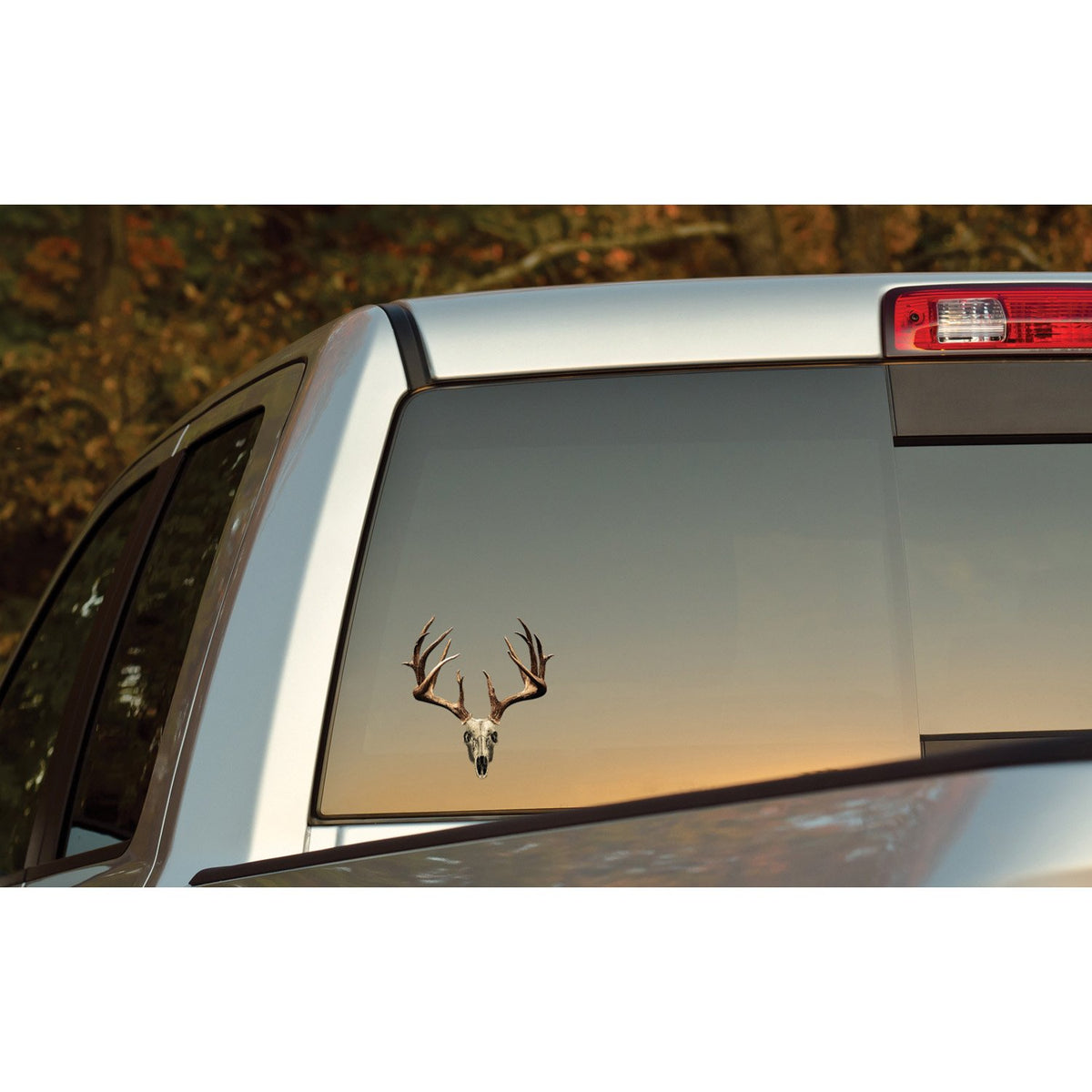Mossy Oak Graphics - Calcomanía de Animales, fácil de Instalar, no se decolora, Vinilo Fundido, Whitetail NT 13021-S-NT 8 x 6 Pulgadas