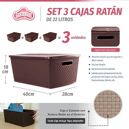 Guateplast Set de 3 Cestas Almacenamiento 22 Litros | Chocolate, polipropileno virgen, apilables con tapa, diseño ratán