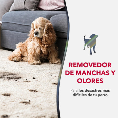 Nature's Miracle - Advanced - Eliminador avanzado de manchas y olores para perros, spray enzimático, aroma fresco, limpieza profunda, 946ml