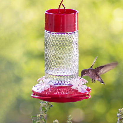 Nature's Way - Alimentador de colibrí de Vidrio Colgante para decoración al Aire última intervensión, alimentador de néctar de Capacidad de 13 onzas, Foso de Hormiga, 4 Puertos Flexibles fáciles de