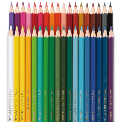 Pentel Arts Lápices de Colores Acuarelables, Mina Gruesa, Estuche con 36 Piezas, CB9-36-EST