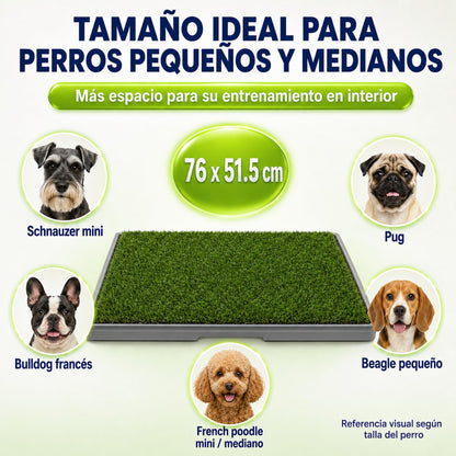 Fancy Pets Tapete de Entrenamiento para Perros Doggie Grass | Pasto Sintético con Bandeja y Rejilla | XCH 50x40 cm