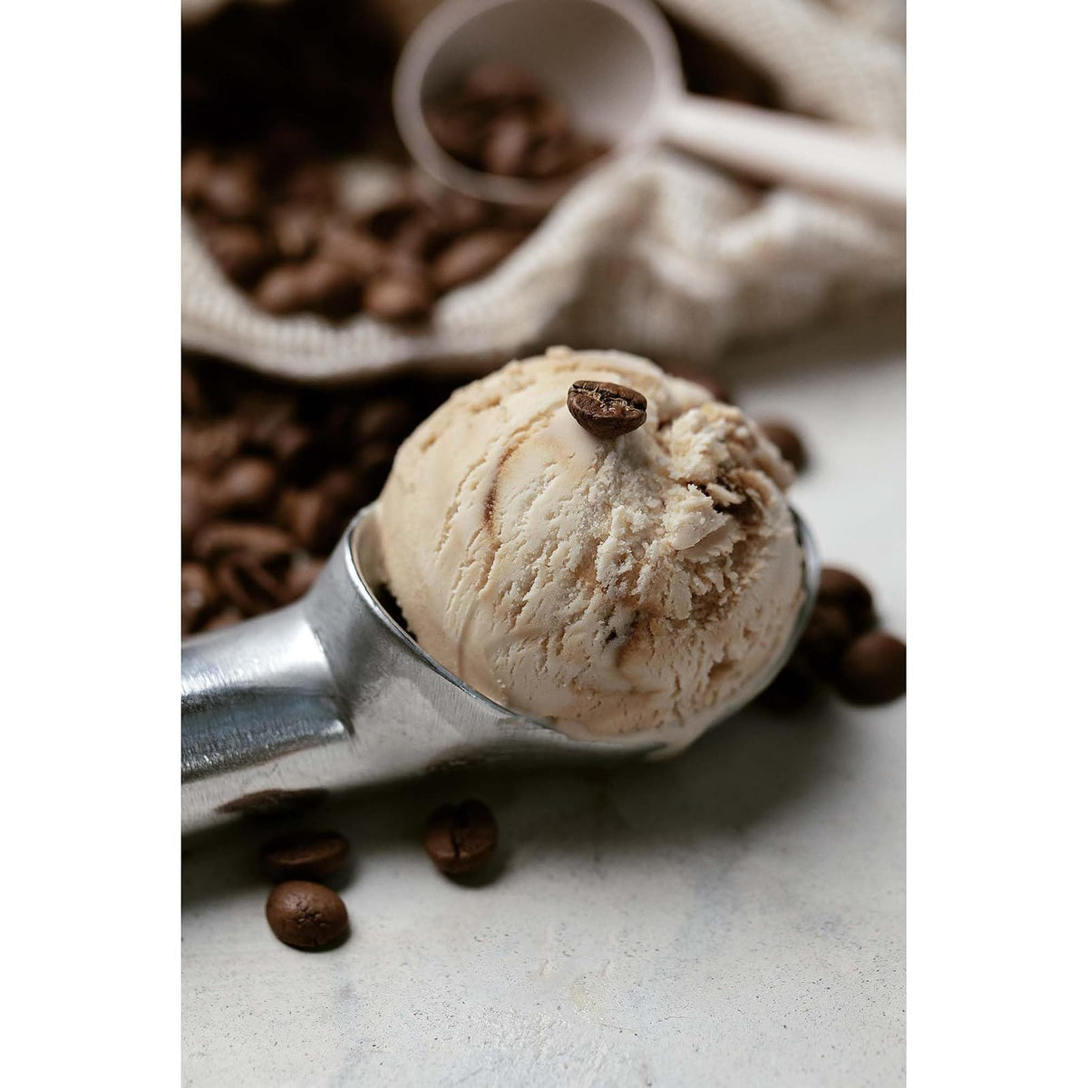 Harold Import Company Herramientas para helados y congelados, anticongelante y antiadherente, Cuchara anticongelamiento para helado, Plateado, Variable, 1