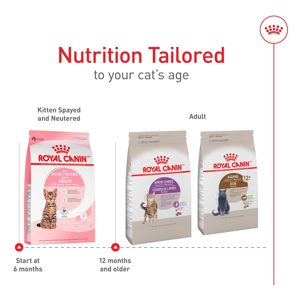 ROYAL CANIN Kitten para Gatito Esterilizado 1.1 Kg