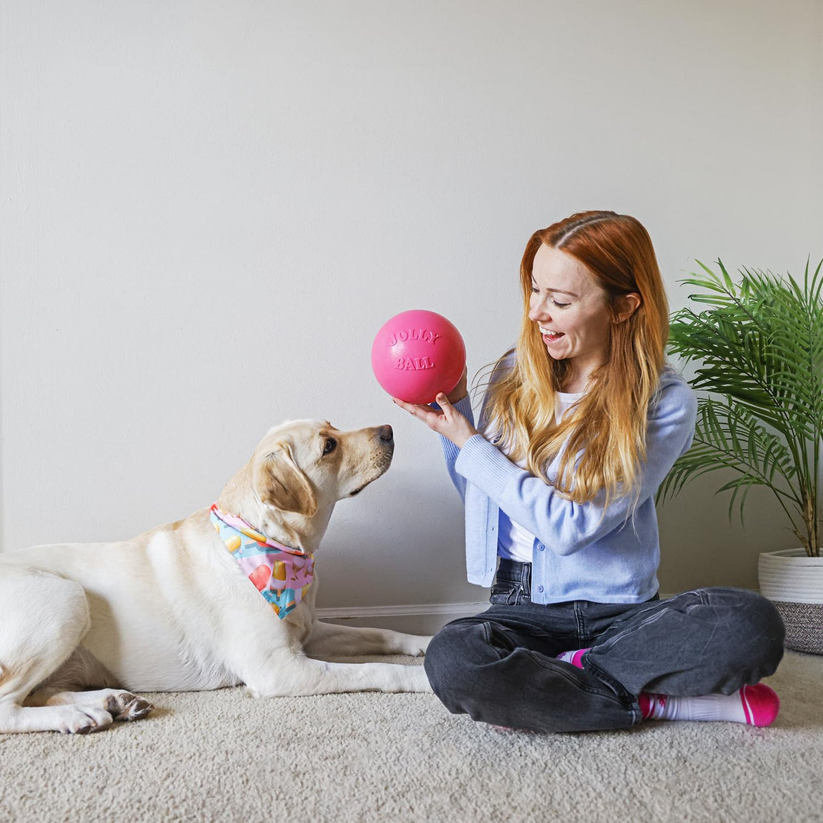 Jolly Pets Bounce-n-Play - Pelota de Juguete para Perro, 6 Pulgadas, Rosa, 6 Pulgadas/Mediano (2506 Unidades)