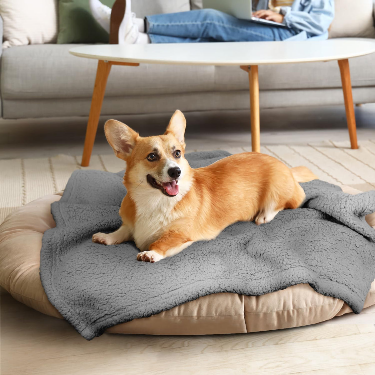 furrybaby - Manta Suave de Alta Calidad para Perros medianos y pequeños, Cachorros, Gatos, Lavable de Forro Polar Sherpa de 32 x 40 Pulgadas, Manta para Mascotas, Muebles de Cama, sofá, protección