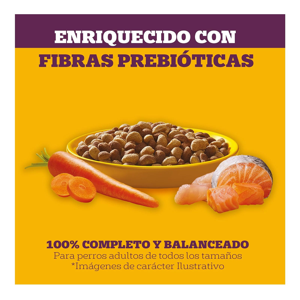Pedigree - Pancita Saludable Croquetas para Perro Adulto, Sabor Salmón, Pavo y Zanahoria, Alimento Completo para Perro con Proteínas y Fibras Prebióticas, 10 kg