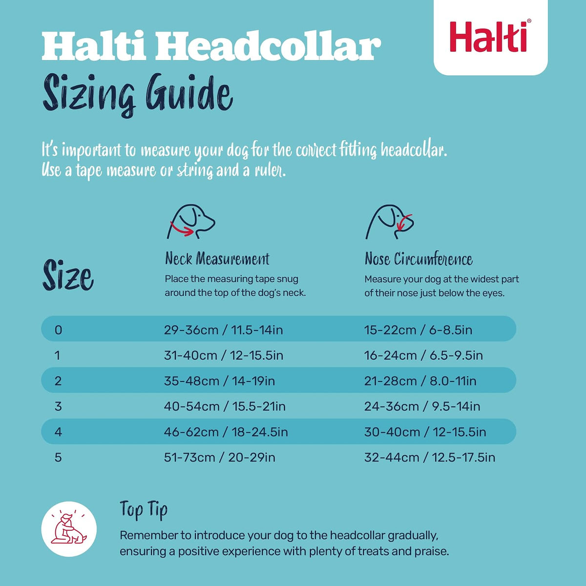 The Company Of Animals DCN11400 Size-1 Halti Head Halter/Collar, Red by Company of Animals
