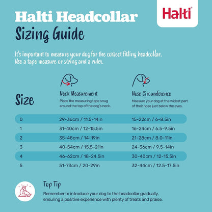 The Company Of Animals DCN11400 Size-1 Halti Head Halter/Collar, Red by Company of Animals