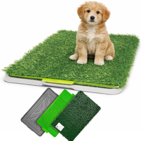 Fancy Pets Dry Pet Doggie Grass Tapete Entrenador para Perro Tamaño Chico