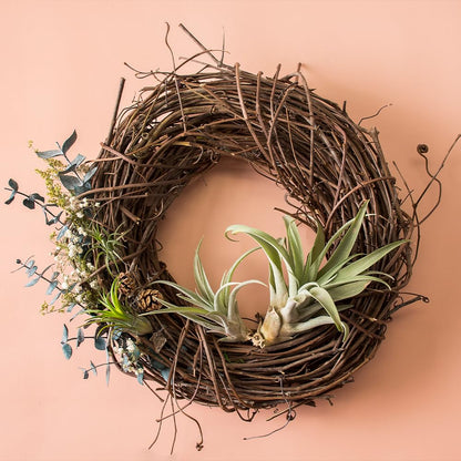SuperMoss (22605 Corona de Vid Natural de huerto – Corona rústica Hecha a Mano para Puerta Delantera, decoración del hogar de Temporada, Corona de Puerta Interior y Exterior, 12 Pulgadas, Natural