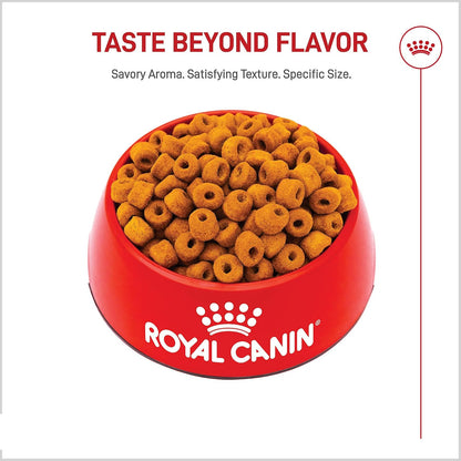 ROYAL CANIN Alimento Seco para Perro Adulto Raza Labrador Retriever, 7.7 kg
