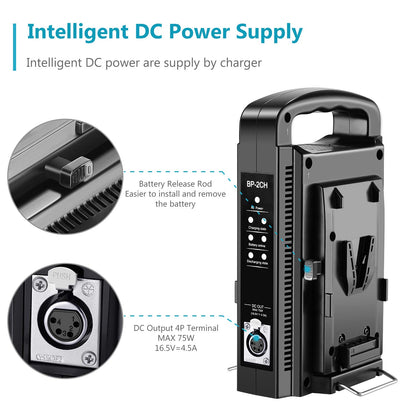 NEEWER Cargador Batería Doble Canal V-Montura/V Bloqueo con DC 16,5V Salida de Fuente de Alimentación Compatible con Cualquier Ladrillo de Montaje V (Batería No Incluida)