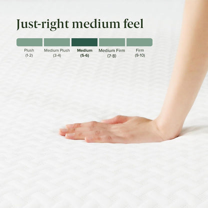 ZINUS - Colchón de Espuma viscoelástica Esencial de té Verde de 8 Pulgadas, Cama en una Caja, colchón asequible, Certificado CertiPUR-US,