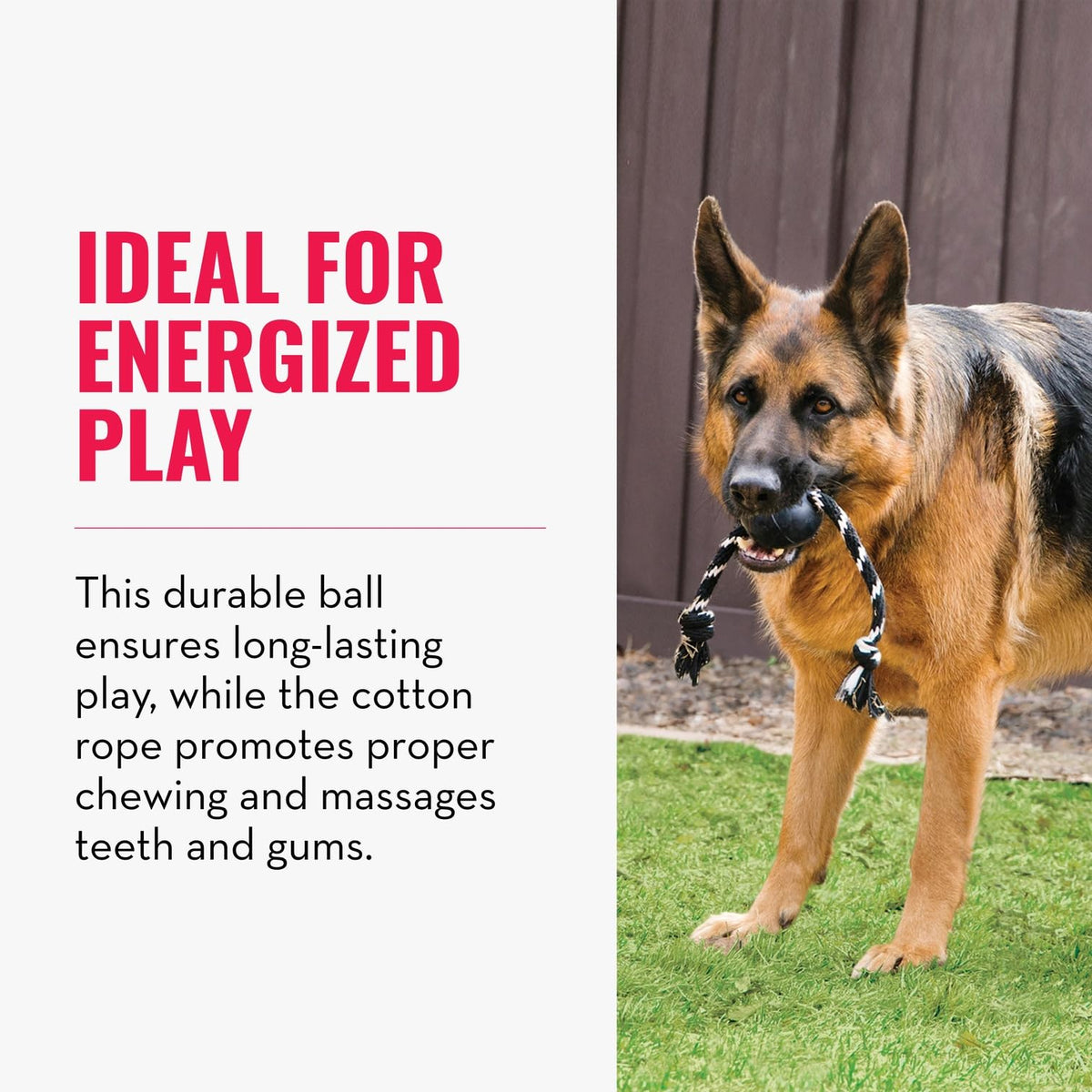 Kong Extreme Pelota de Caucho con Cuerda para Perros Grandes