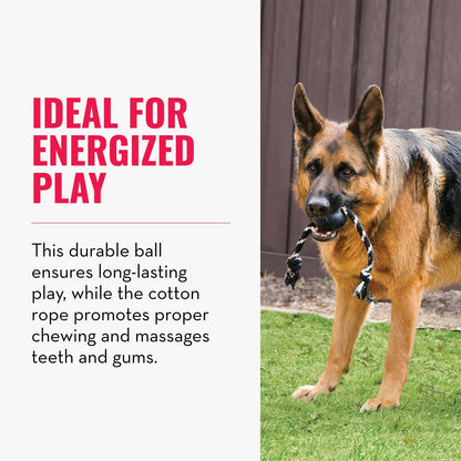 Kong Extreme Pelota de Caucho con Cuerda para Perros Grandes