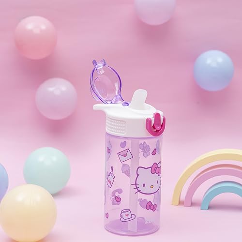 Zak Designs Sanrio Sage - Botella de agua para niños para la escuela o los viajes, botella de agua de plástico duradera de 16 onzas con popote, mango y a prueba de fugas, cubierta de boquilla