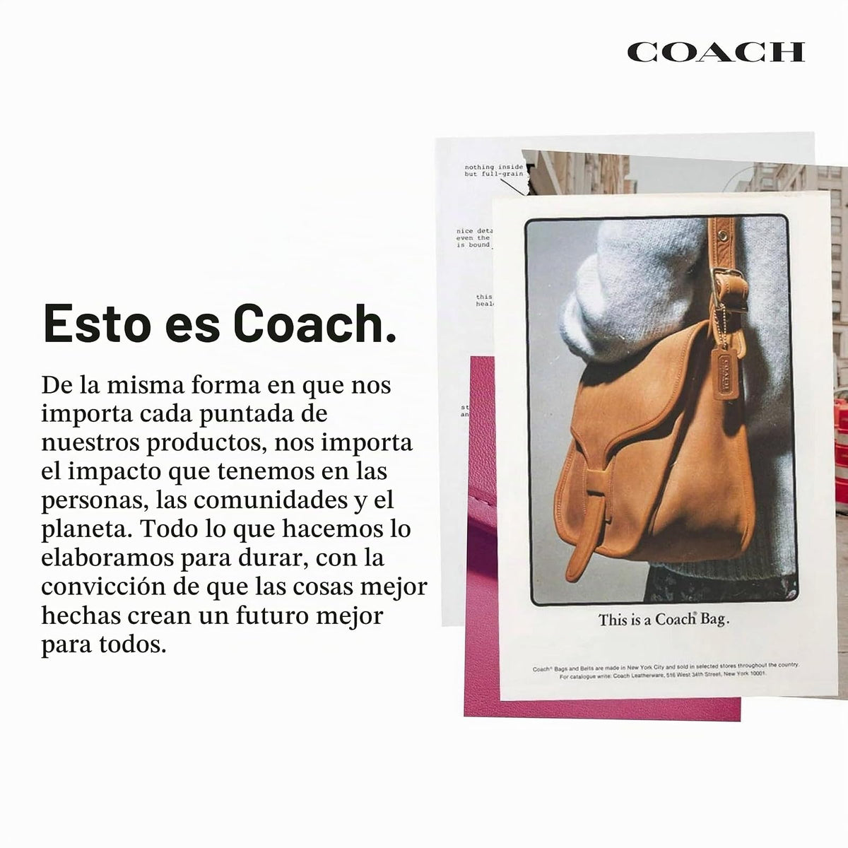 Coach