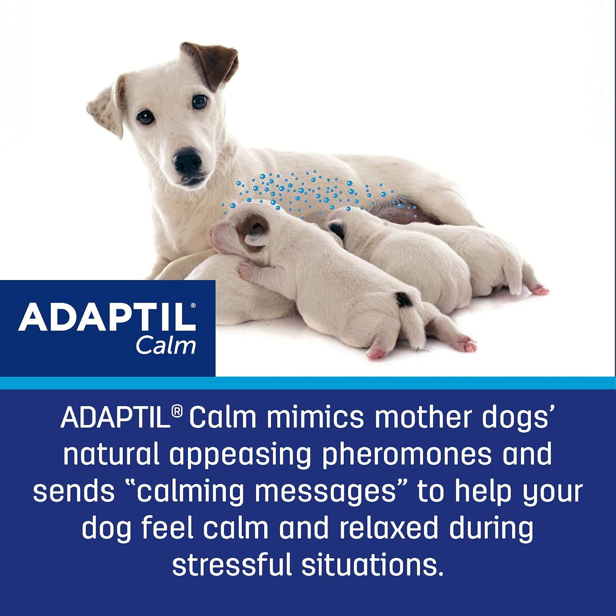 Adaptil Calm Home Diffuser Refill for Dogs