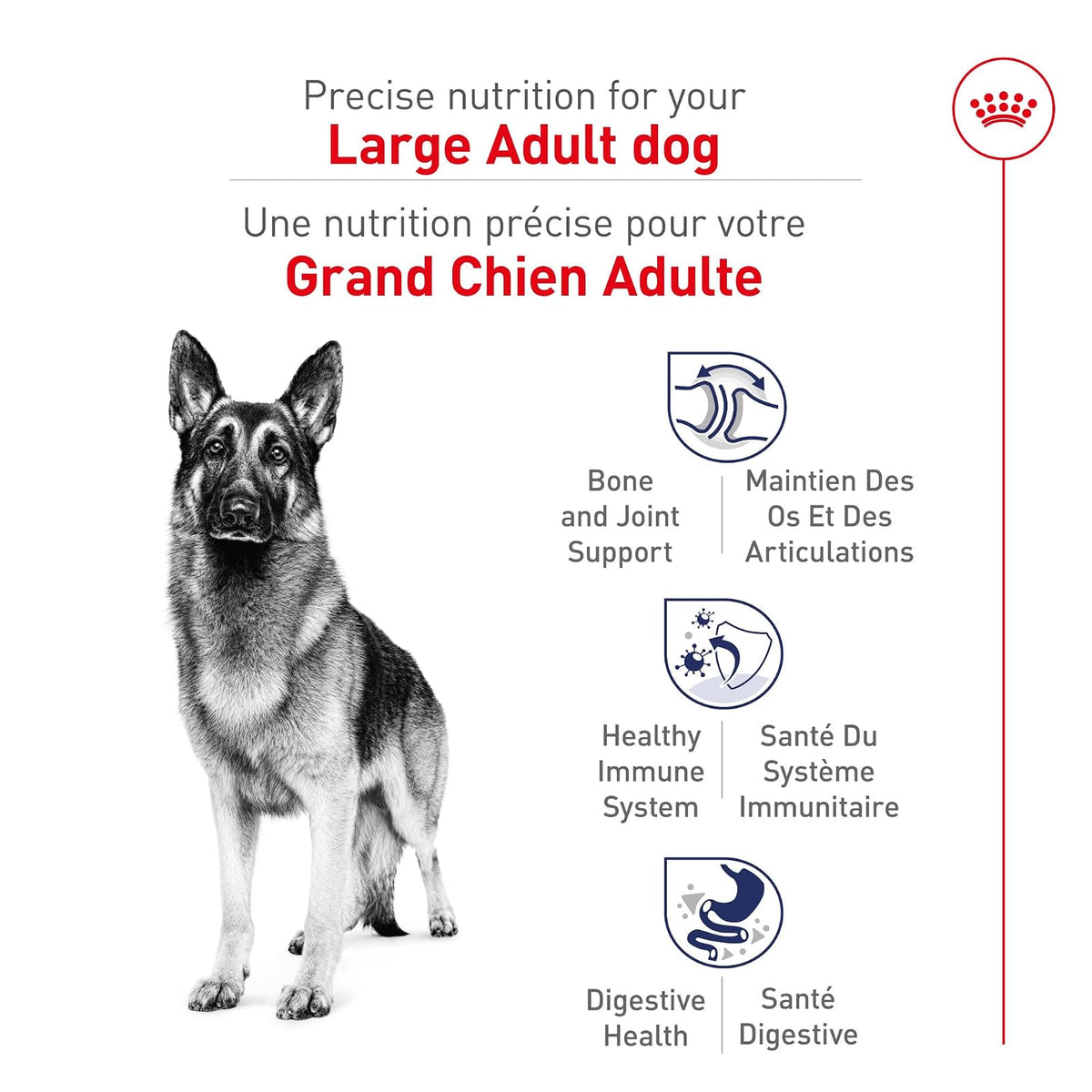 ROYAL CANIN - Croquetas para Perro Talla Grande, Large Adult 7.72 Kg