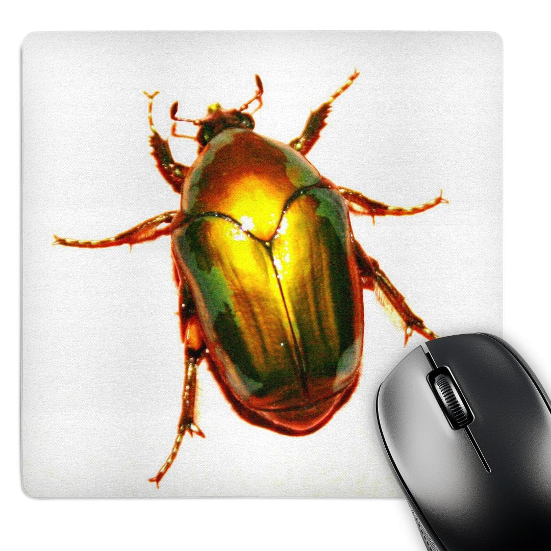 3dRose 8 x 8 x 0.25 Inches Mouse Pad, Golden Scarab Beetle (mp_155920_1)
