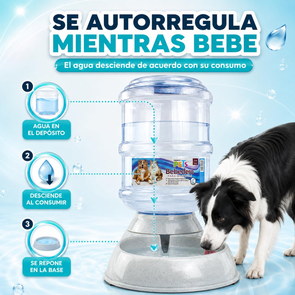 Hagen Fancy Pets Bebedero Para Perro o Gato Tamaño Grande de 3 Galones, 11.4 Litros