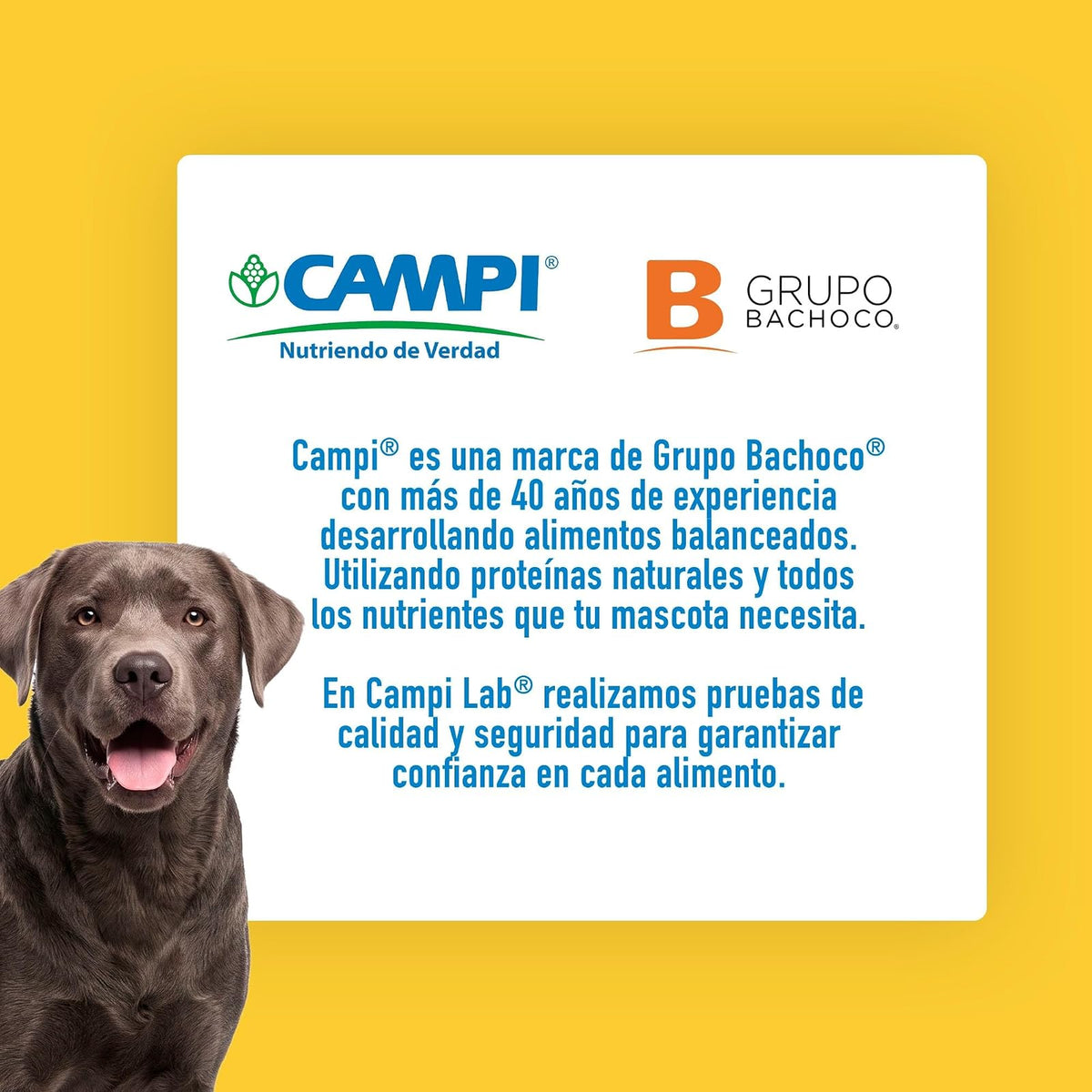CAMPI, Croquetas para Perro Adulto CanPro MAX, 15% de Proteína, Sabor a Res y Pollo, Alimento con Vitaminas y Minerales, Costal de 20 kg