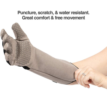 PetFusion Unisex Multi-purpose Pet Glove grooming glove (pack of 1)