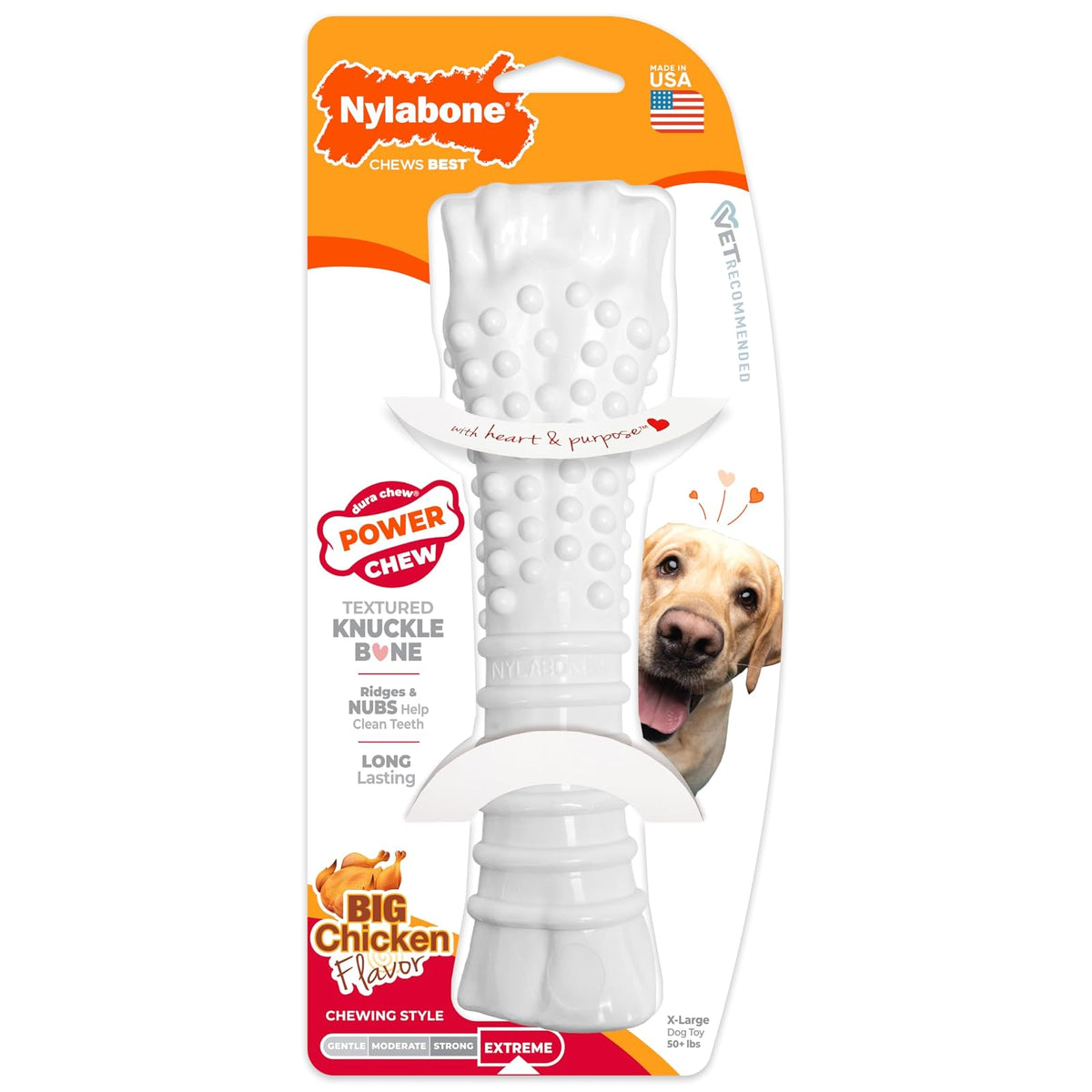 Nylabone Dura Chew Souper Chicken Flavored Bone Dog Chew Toy