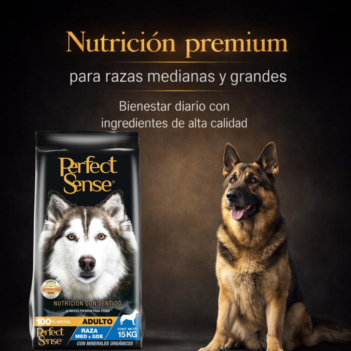 Perfect Sense Alimento Premium para Perro Adulto Raza Mediana y Grande MLB 15 kg - 100% Natural con Omega 3, Prebióticos y Antioxidantes - Alta Digestibilidad