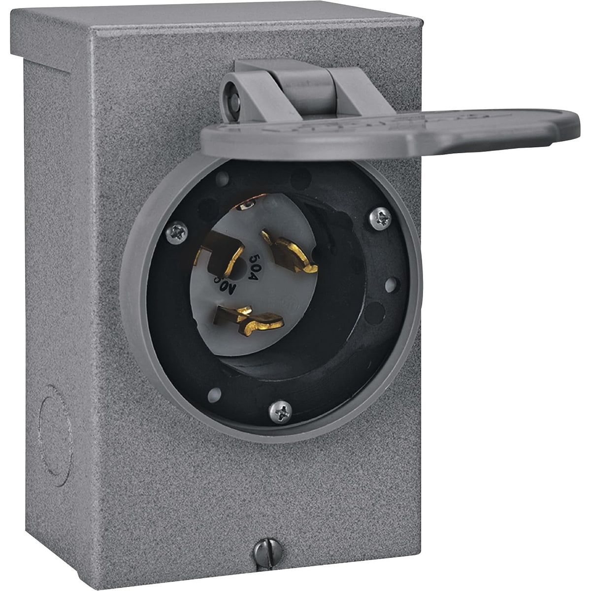 Reliance Controls PB50 50-Amp (CS6375) NEMA 3R Caja de entrada de alimentación, gris