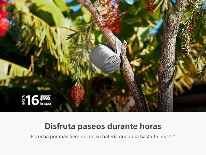 Bocina inalámbrica portátil Sony XB100 Sonido Potente y nítido