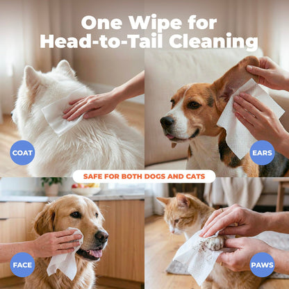 Best Pet Supplies - Toallitas de Aseo para Perros y Gatos con Aceite Esencial de Coco hidratante, hipoalergénico y Desodorante (100 Unidades) (WW-CO-100)