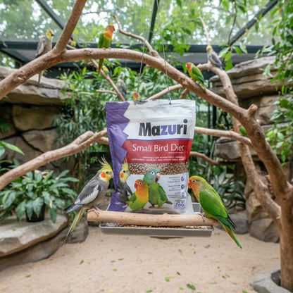 Mazuri Alimento para Aves pequeñas (ninfas, Loros, periquitos, etc.) 350gr