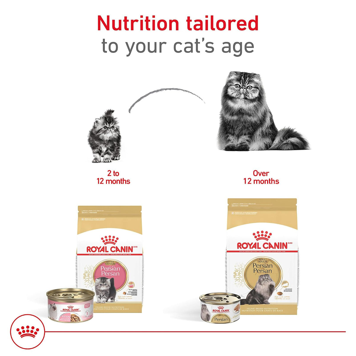 Royal Canin Alimento seco para gatos adultos para gatitos persas de raza felina, 3 libras